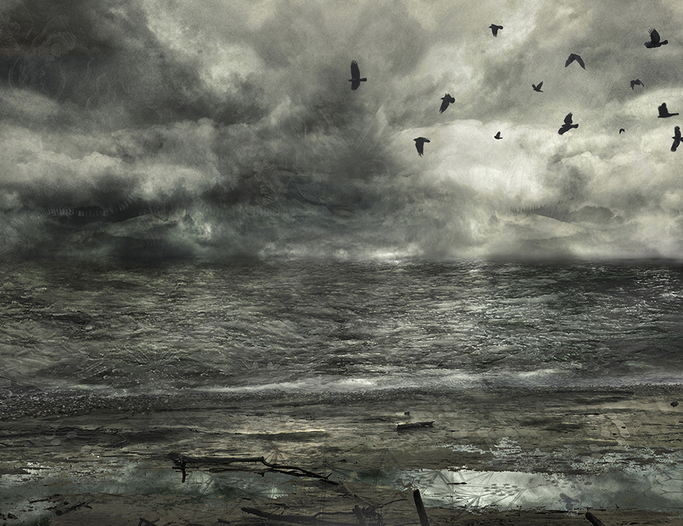 Skagit Delta: Gathering Storm by C.T. Chew